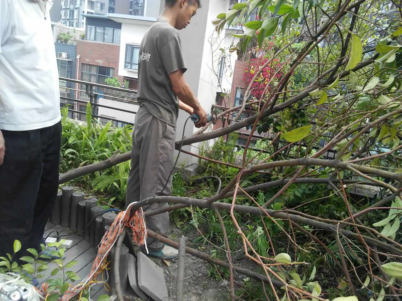 屋頂花園怎么裝修，樓頂花園裝修注意事